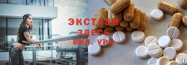 СК Алексин