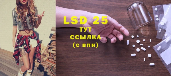 стафф Алзамай