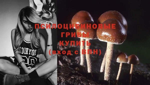 стафф Алзамай